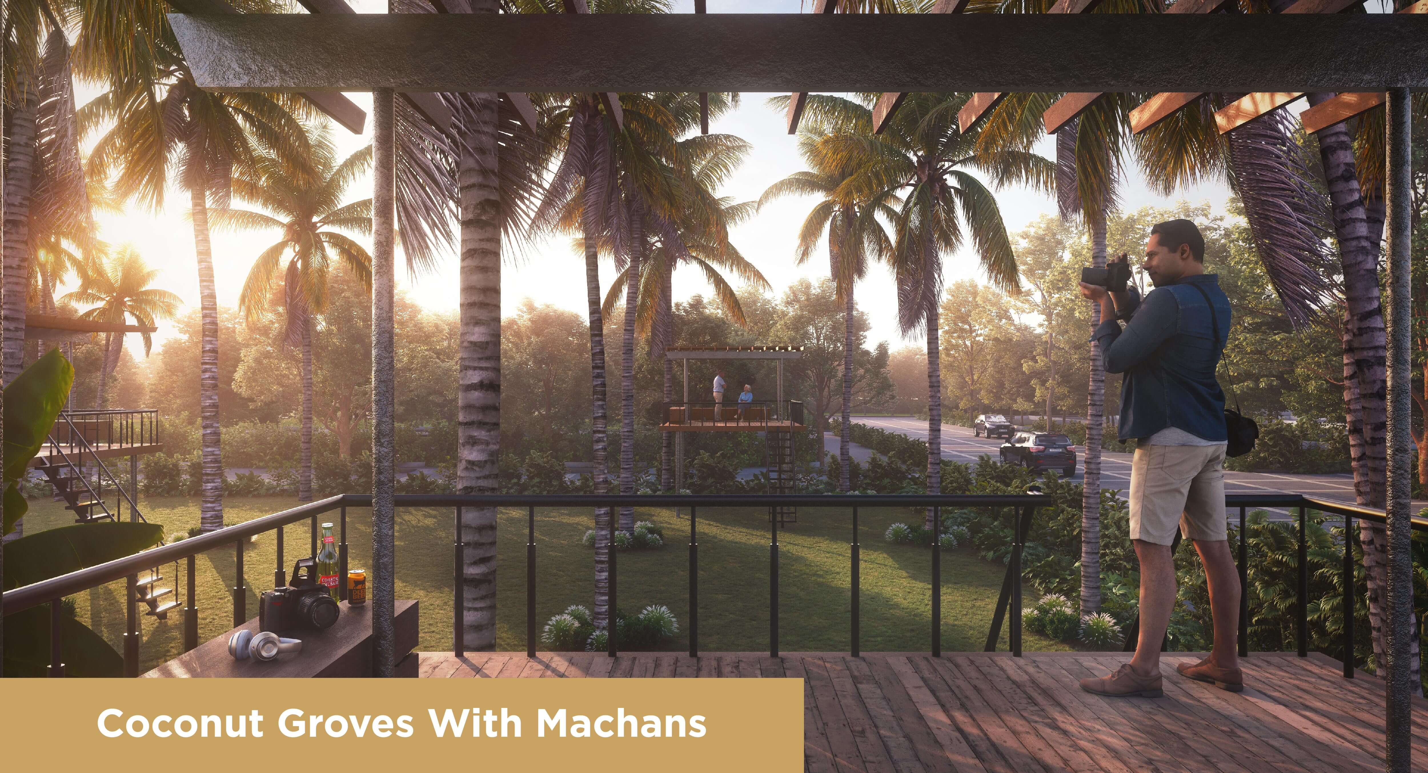 Coconut Groves With Machans