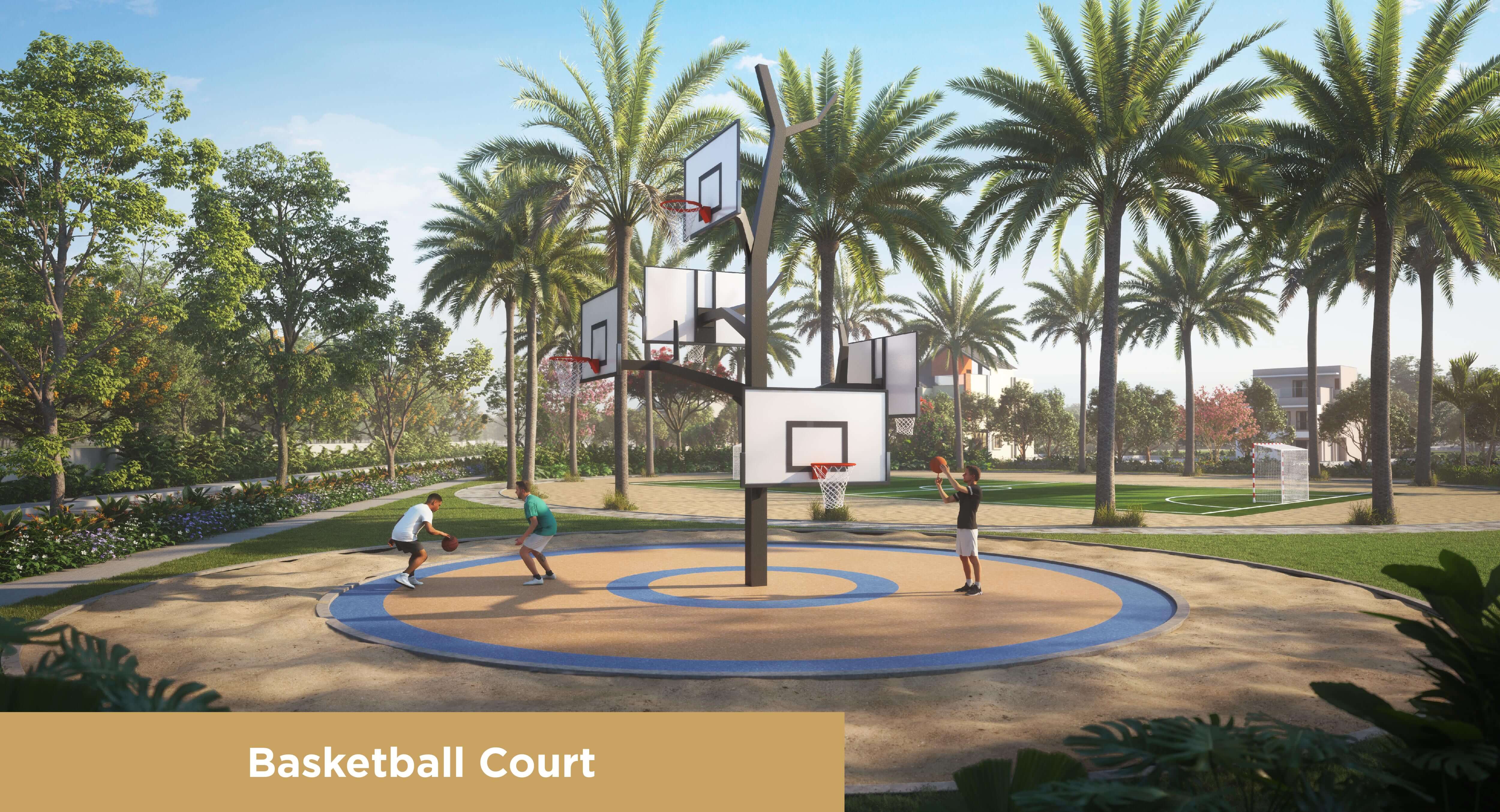 Basketball Court